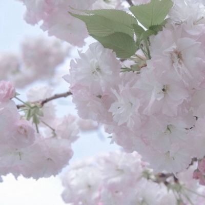 Furry插画氛围营造Furry群